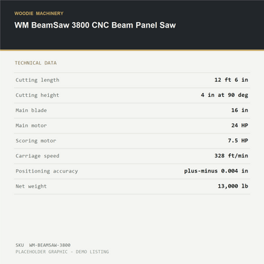 WM BeamSaw 3800 CNC Beam Panel Saw - technical data
