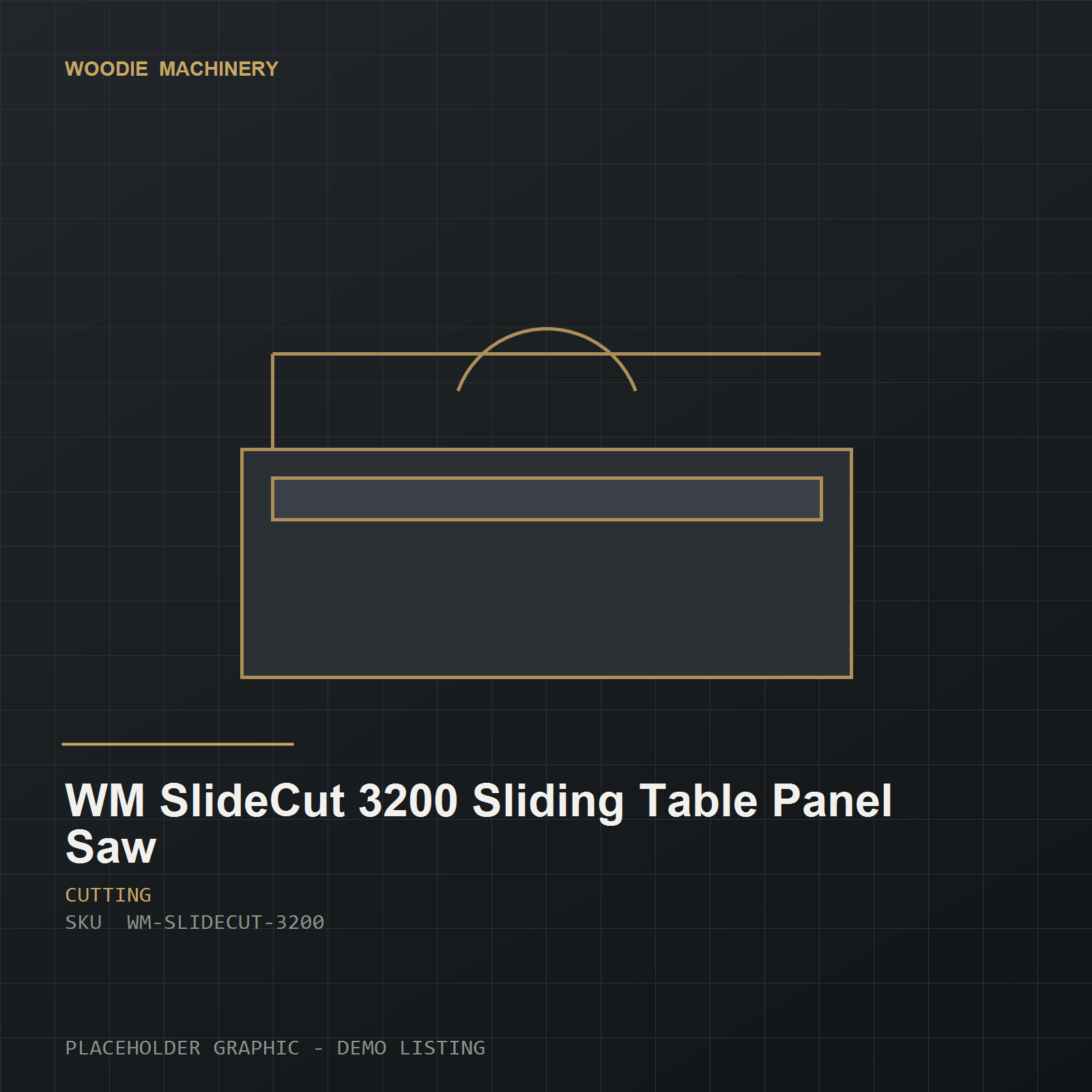 WM SlideCut 3200 Sliding Table Panel Saw - product view